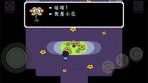 114