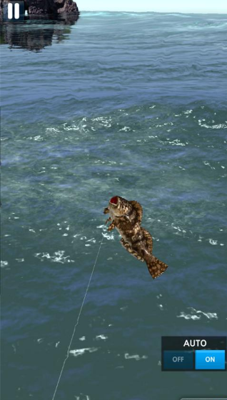 ��������2019�ƽ��