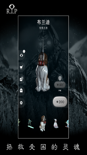 RIP����ƽ���ڹ���