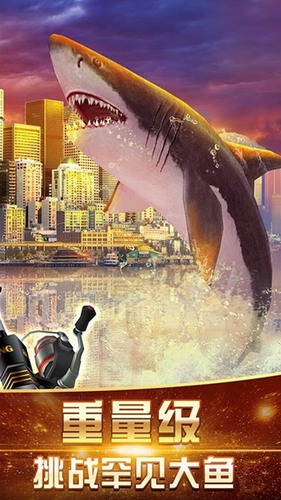 ���˵��������ƽ��