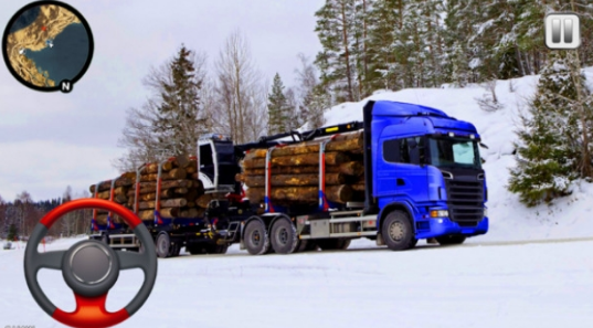 ����ģ����2020�ƽ��