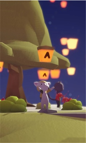 �װ���è��