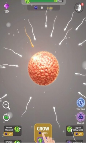 9���º�����