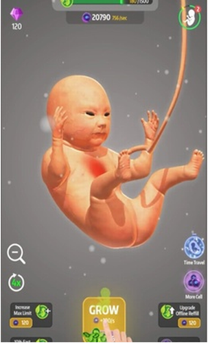 9���º�����