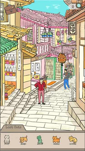 ���ص�è����̽��