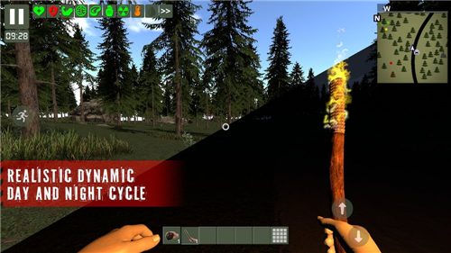 �Ҵ���������ɭ��