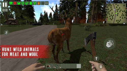 �Ҵ���������ɭ��