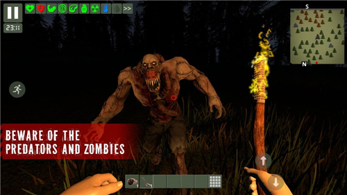 �Ҵ���������ɭ��