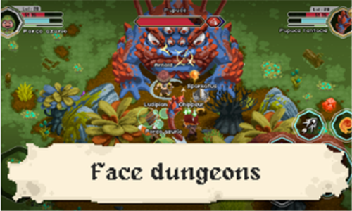 �ο�������