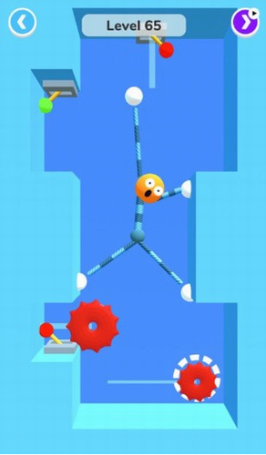 ��Ƥ�˿���