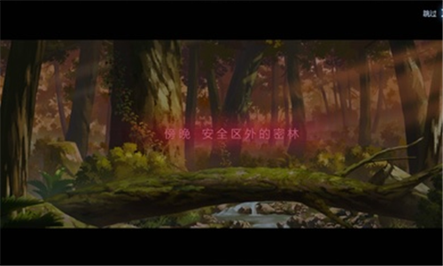 ���Ż���