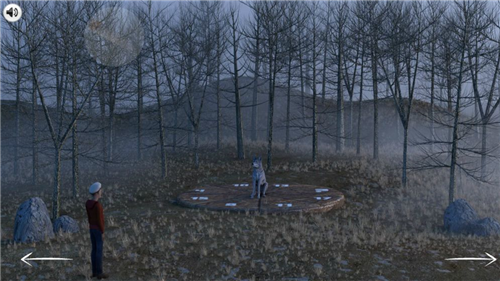 ��ʧ��ɭ��