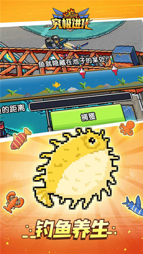 ���龿������