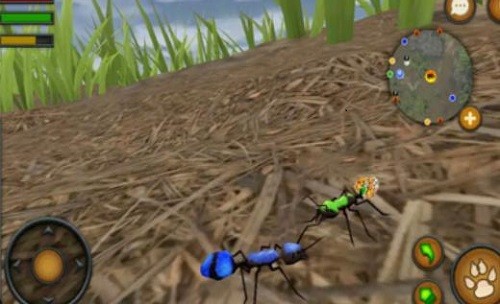 ȫԱ������֮������ (3)