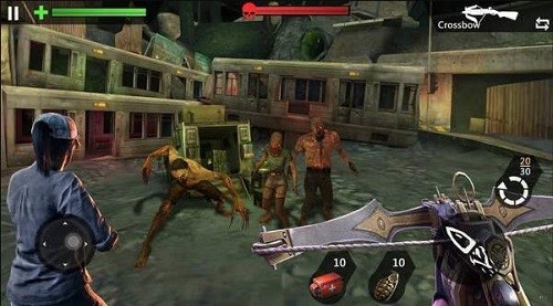 ��ʬĿ�� (1)