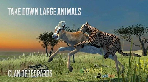 �Ա�ģ���� (1)