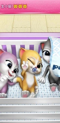 ���л�˵����è���� (1)