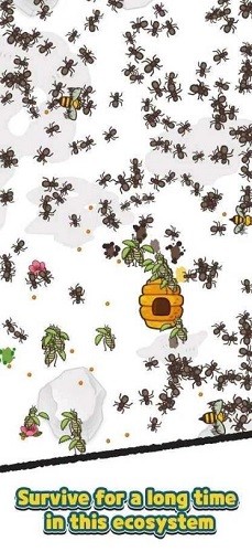 ���Ϻ����۹� (4)