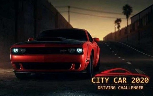 2020�����������ʻ��ս�� (2)