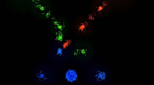 Auralux����ս�� (3)