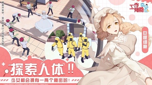 ����ϸ������ս (1)