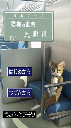 �ӳ������ѵ�è (5)