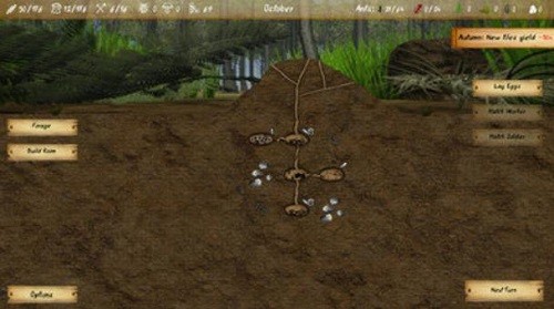 ��������ģ�� (3)