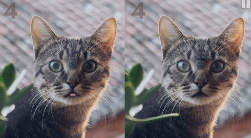 ����Ѱ�� (1)