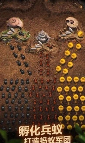 ���ϵ������� (2)