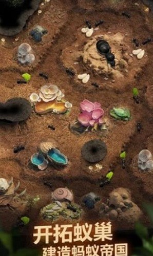 ���ϵ������� (4)