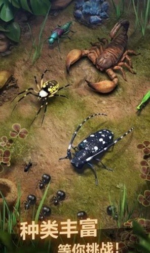 ���ϵ������� (5)