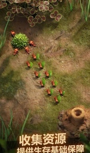 ���ϵ������� (3)