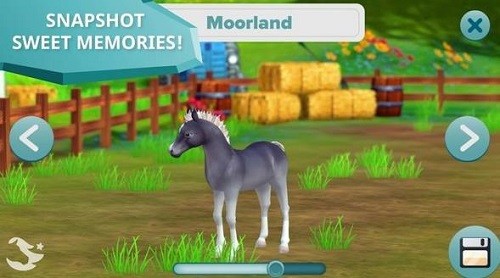 �������� (2)