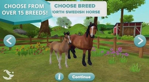 �������� (1)