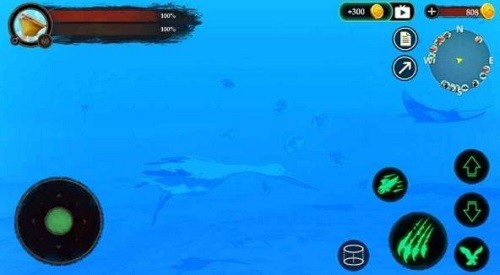 ����ģ���� (1)