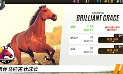 ���崫����ƥ���ɾ��� (3)