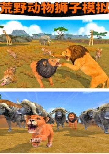 ��Ұ����ʨ��ģ�� (3)