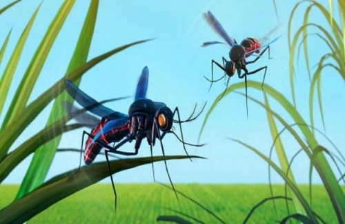 ����ģ����3D (1)