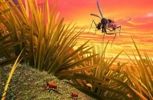 ����ģ����3D (2)