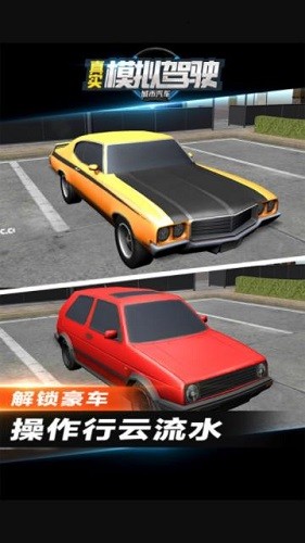 ����������ʵģ���ʻ (3)