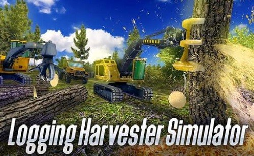 ��ľ������ (4)