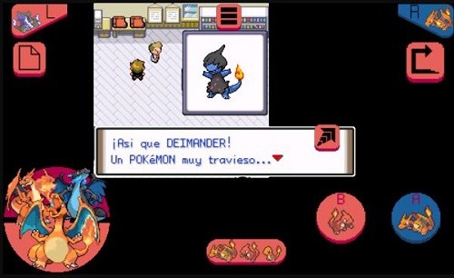 ���鱦���� (4)