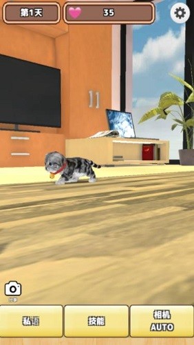 3Dè������ (1)