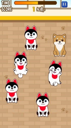 ����С�� (3)