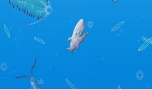 ��ζ���� (3)