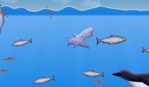 ��ζ���� (5)