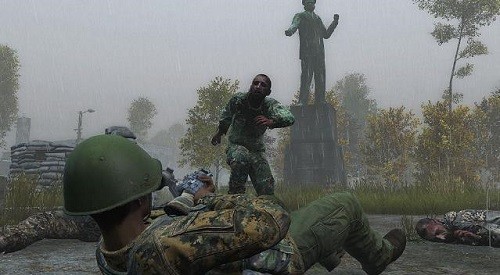 dayz (5)