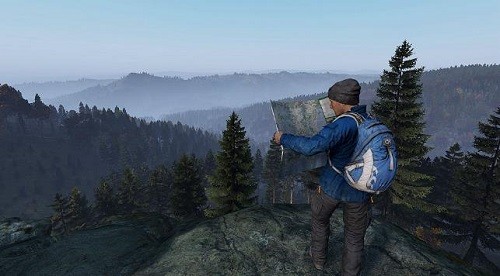 dayz (4)