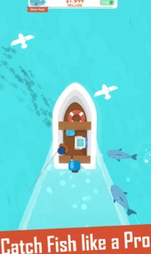 ������ (2)