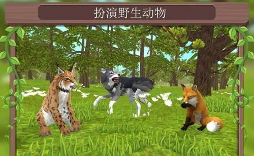 ����3D����ģ�� (3)